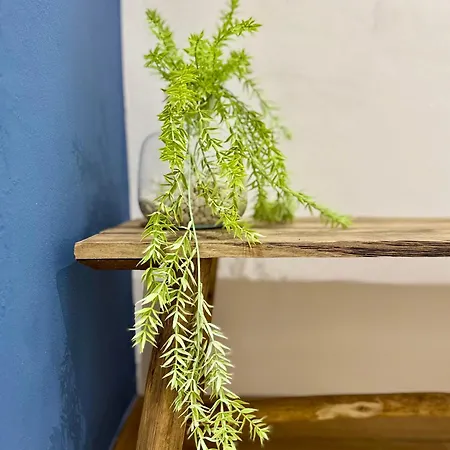 Oasis De Confort Urbano * Βίγκο