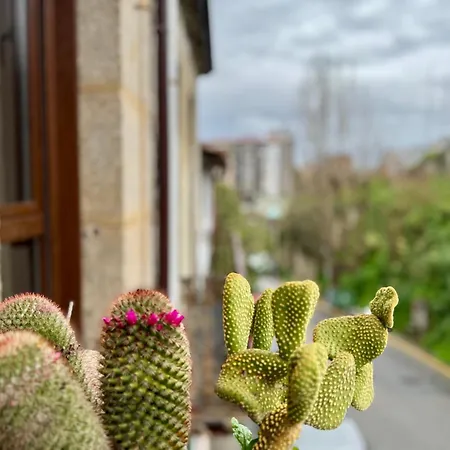 Oasis De Confort Urbano * Виго