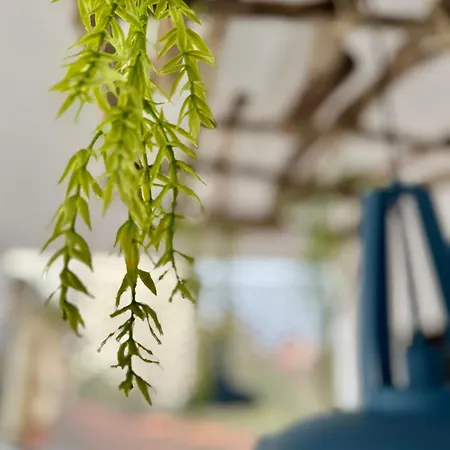 Апартаменты Oasis De Confort Urbano *