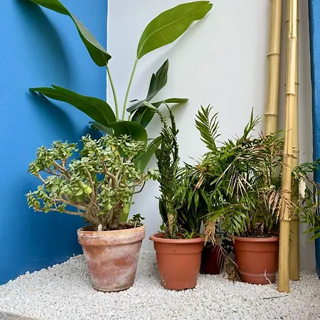 Unetti Oasis De Confort Apartament Vigo