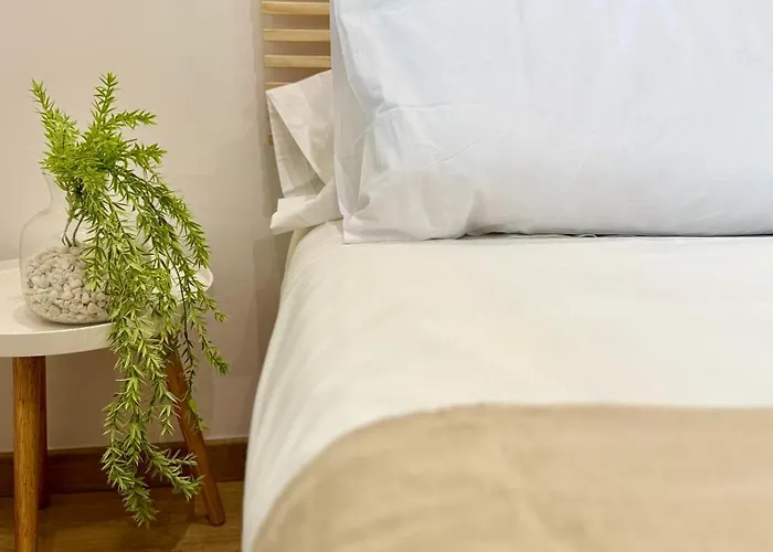 Oasis De Confort Urbano