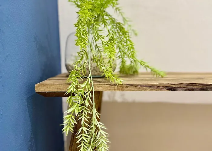 Oasis De Confort Urbano * Vigo