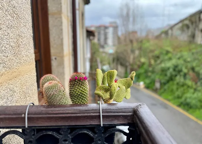 Oasis De Confort Urbano *