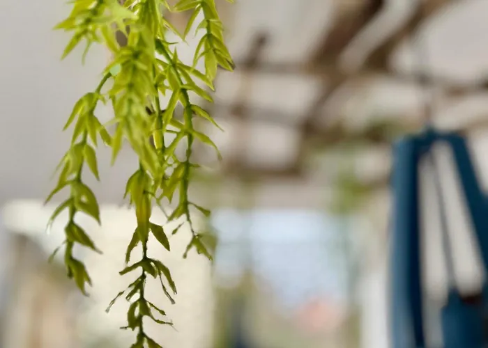 Apartmán Oasis De Confort Urbano *