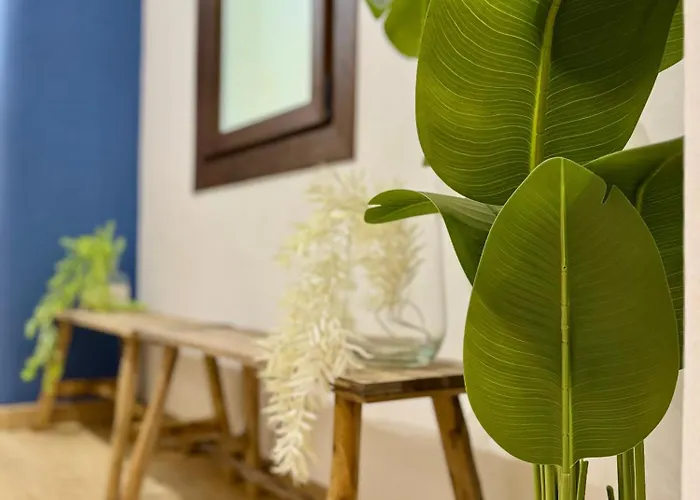 Oasis De Confort Urbano *