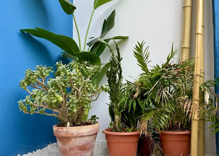 Oasis De Confort Urbano Apartmán Vigo